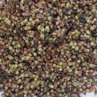 فندق|خوردنی و آشامیدنی|مشهد, حسابی جنوبی (شهرک غرب)|دیوار