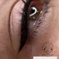 جشنواره تخفیفی کاور تاتوهای قدیمی|خدمات آرایشگری و زیبایی|سیرجان, |دیوار