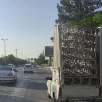 باربری وانت بار به سمت تهران و کرمان