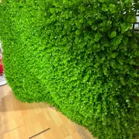 چمن مصنوعی ۱در ۱.۵