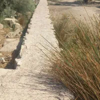 فروش زمین ۱۲۰۰ متری در کارون|فروش زمین و ملک کلنگی|اهواز, کارون|دیوار