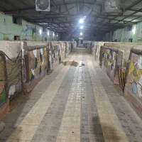 نیازمند کارگر در باشگاه سوارکاری به همراه خانواده