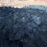 کود گوسفند سال خورده