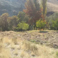 ۱۵۰۰ متر زمین ویلایی