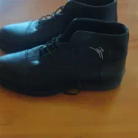 کفش|کیف، کفش، کمربند|سلماس, |دیوار