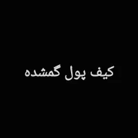 کیف کارت گمشده حوالی پارک میرزا کوچک خان