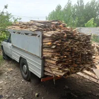 چوب وهیزم ساختمانی زغالی|خدمات باغبانی و درختکاری|لنگرود, |دیوار