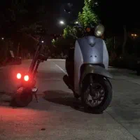 پاکشتی تودی