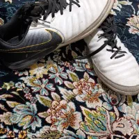 کتونی اورجینال|کیف، کفش، کمربند|قم, ولیعصر|دیوار