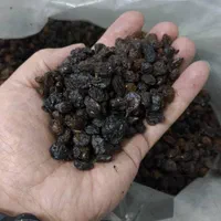 کشمش آفتابی عالی