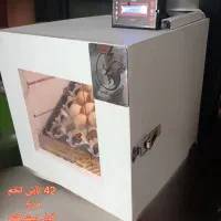 تولید دستگاه های جوجه کشی شرکتی با رنگ دلخواه شما|لوازم جانبی حیوانات|مشهد, رسالت|دیوار