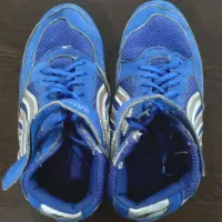 لوازم ورزشی|تجهیزات ورزشی|اشتهارد, |دیوار