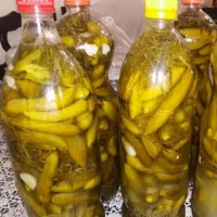 خیارشور محلی ارگانیک