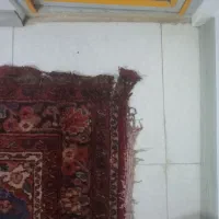 فرش دستباف|فرش|همدان, |دیوار