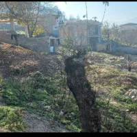 داوطلبانه نیازمند جن گیر