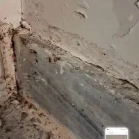 سمپاشی صدرصد تضمینی کل تهران و حومه اندیشه شهریار