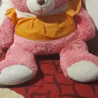 خرس عروسکی