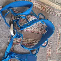 هارنس اوکان