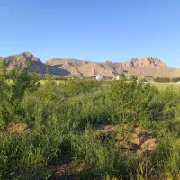 باغ جاده سنندج|فروش دفتر صنعتی، کشاورزی، تجاری|کرمانشاه, |دیوار