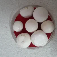 سنگ اسیاب