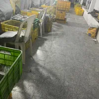 نیروی پرداخت کار ماهر|استخدام صنعتی، فنی، مهندسی|محمدشهر, محمدشهر|دیوار