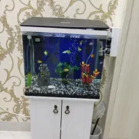 آکواریوم K500شرکتی درحد