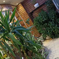 فروش ۱۱۵متر واحد تجاری|فروش دفتر کار، اتاق اداری، مطب|ملایر, |دیوار