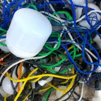 ریسه به همراه لامپ|ریسه و چراغ تزئینی|رشت, پاستوریزه|دیوار