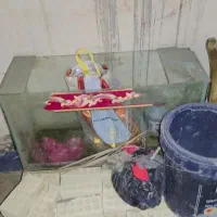 دو عدد اکواریوم سالم معاوضه|ماهی|سوسنگرد, |دیوار