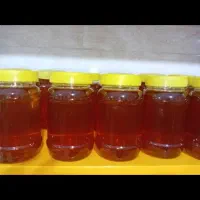 عسل خوشمزه وخوش طعم