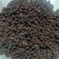 کشمش آفتابی درجه یک