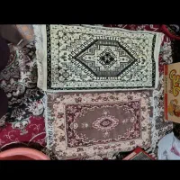 پادری نو نوحراجی