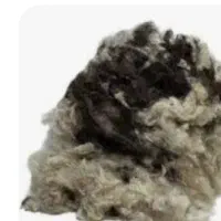 پشم گوسفندی