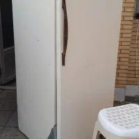 یخچال مناسب خونه مجردی و باغ