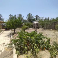دو قطعه باغ ابتدای شاهنامه شاهنامه ۱۴ نزدیک مشهد|فروش خانه و ویلا|مشهد, باغستان|دیوار
