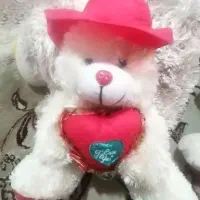 عروسک|اسباب‌‌بازی|خمام, |دیوار
