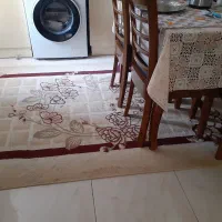 فرشینه|فرش|بندر انزلی, متروپل|دیوار
