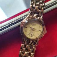 سافت سیتیزن