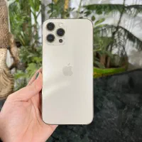 آیفون ۱۲ پرو مکس اصلی