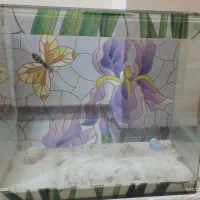 اکواریوم 60*55*30 شیشه خم