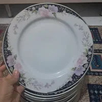 بشقاب پلوخوری