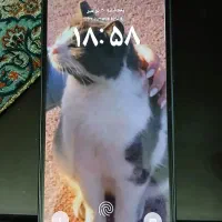 گوشی سامسونگ a36