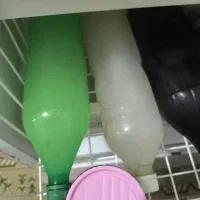 فریزر پارس|یخچال و فریزر|ارومیه, |دیوار