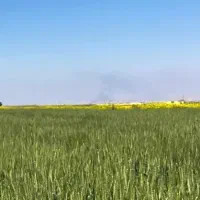 فروش  و اجاره زمین کشاورزی