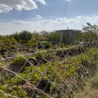 باغ ثمرده در آبخوره با سهم آب|فروش دفتر صنعتی، کشاورزی، تجاری|دشتابی, |دیوار