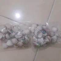 صدف
