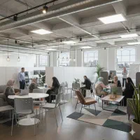 جذب نیروی فروی