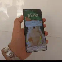 نوت13|موبایل|مشهد, نکاح|دیوار