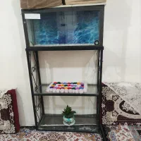 اکواریوم در حد نو