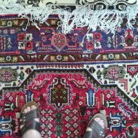 فرش دست بافت|فرش|رشت, کوی جام جم|دیوار